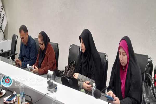 آغاز صدور دسته‌چک دیجیتال برای سهولت مبادلات مالی اصناف/بانک قرض‌الحسنه مهر ایران؛ انتخاب یک‌سوم اصناف مازندران