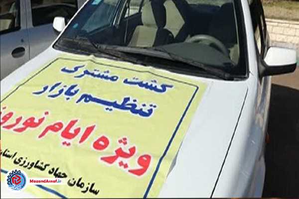 متخفان صنفی نقره‌داغ می‌شوند