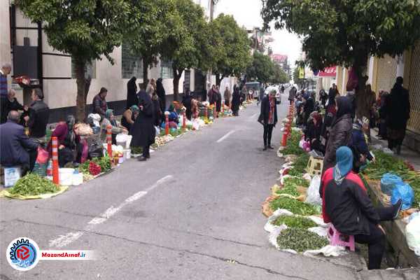 ساماندهی دست‌فروشان تنکابن در انتهای بازار ماهی‌فروشان