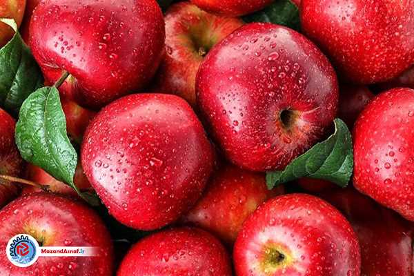 تعرفه صادرات میوه شب عید افزایش یافت