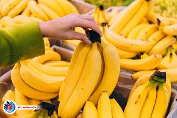 افزایش ۱۵ درصدی قیمت موز در بازار
