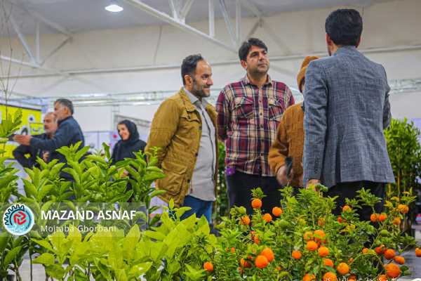 عکس| افتتاح نمایشگاه تخصصی ماشین آلات و ادوات کشاورزی مازندران به‌روایت تصویر