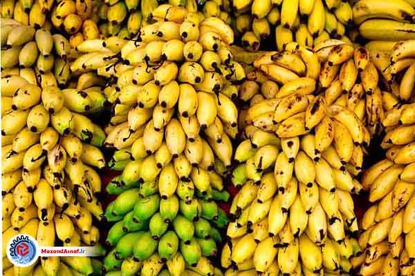 شایعه واردات موزهای آلوده از سومالی صحت ندارد