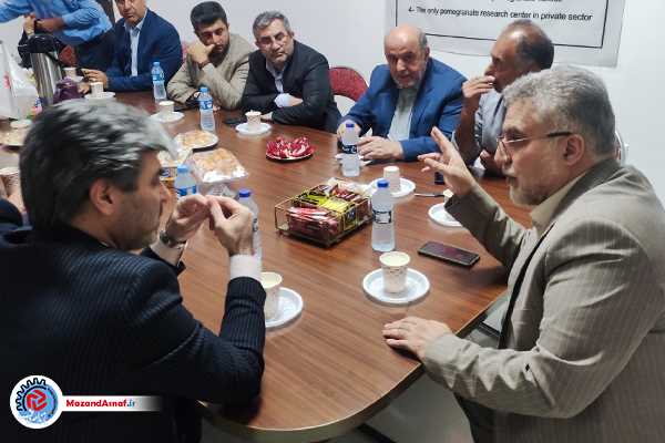 جلوگیری از زیان برنج‌کاران شمالی با کوتاه‌کردن دست سوداگران از بازار