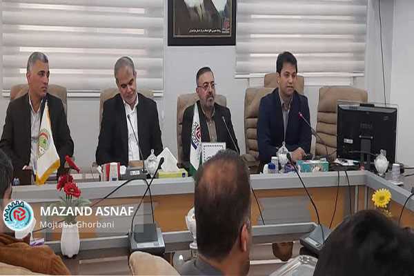بازرسان خط مقدم کنترل بازار و رسیدگی به شکایات مردمی