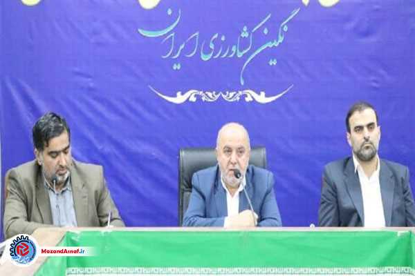تشدید نظارت بر نانوایی‌ها و جلوگیری از تعطیلی خودسرانه/ مراکز خرید برنج در روزهای آینده فعال می‌شوند