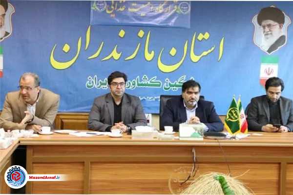 آماده ذخیره‌سازی مرغ برای شب عید هستیم