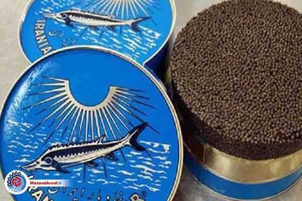 خاویار سوگلی صادرات مازندران