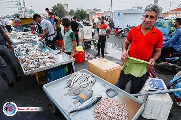 چرا باید بر بازار شهر ساحلی بابلسر نظارت کرد؟