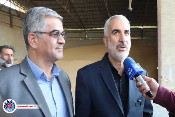 ورود استاندار مازندران به موضوع گندم‌های جوانه‌زده تا تاکید بر اصلاح الگوی مصرف نان