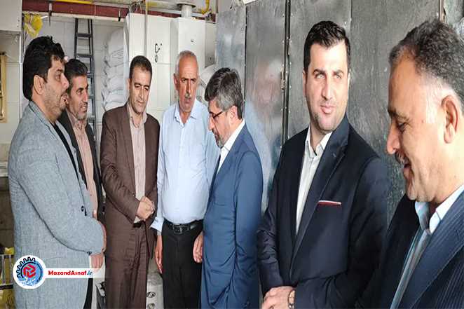 بازرسی مشترک فرماندار و رئیس اتاق اصناف نور از نانوایی‌ها و مراکز عرضه