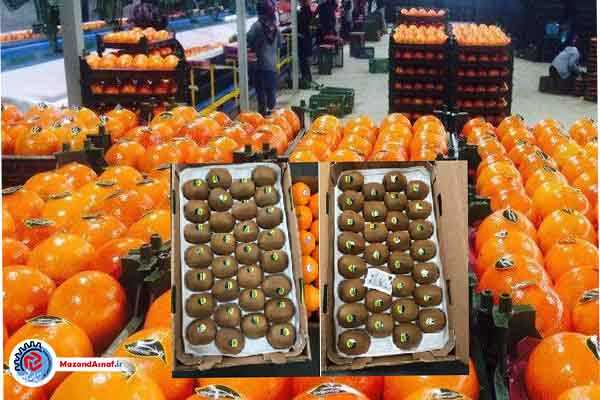 بدقولی 9 ماهه دولت و زیان چند میلیاردی به باغداران/تنظیم بازار با پرتقال‌های مجانی؟!