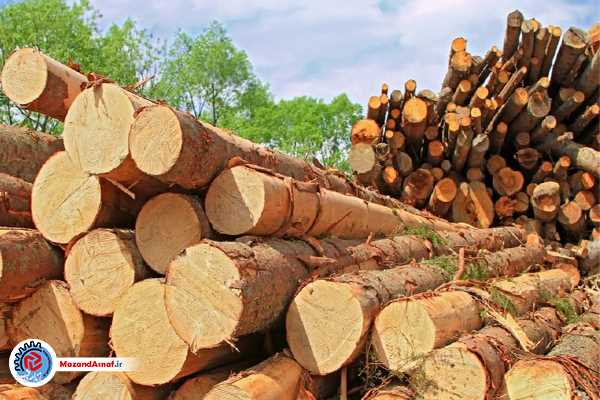  مراکز غیرمجاز دپوی چوب در مازندران پلمب می‌شوند
